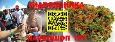 стафф Партизанск