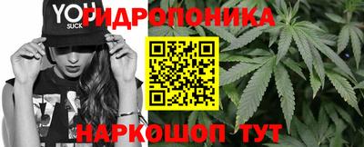 стафф Партизанск