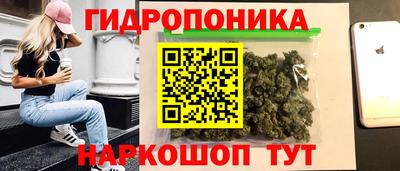 стафф Партизанск