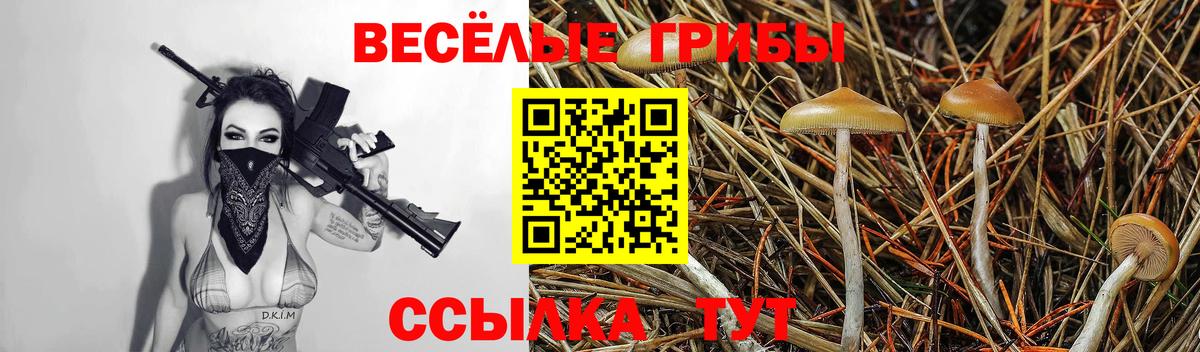 Псилоцибиновые грибы Magic Shrooms Озёрск